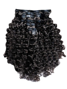 Exotic Curly Seamless Clip In